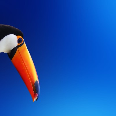 1920 x 1080 HD Wallpapers 1214